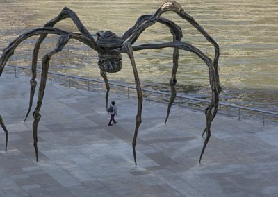 Araña Bilbao